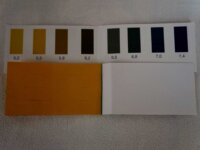 pH 8 Teststreifen - 48 Stück