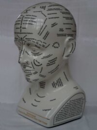Studienkopf für Psychophysiognomik inklusive Begleitheft